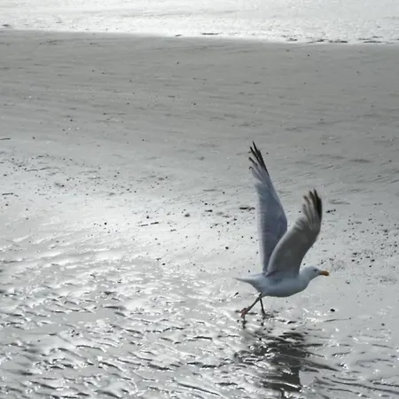 In Ostend With Stunning Sea View Апартаменты Коксейде