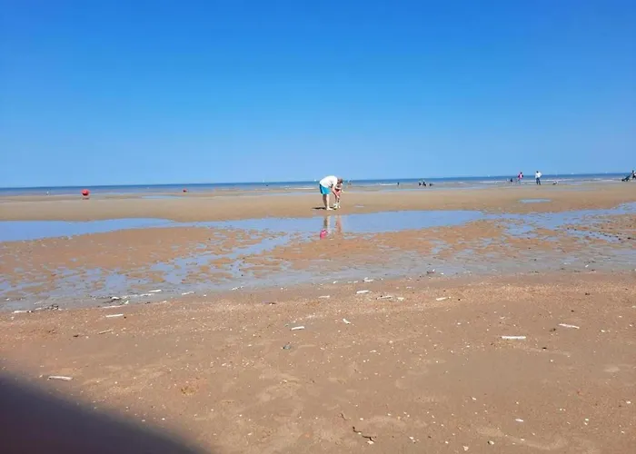 Apartment In Ostend With Stunning Sea View