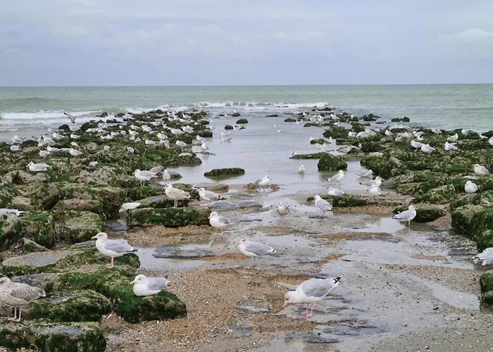 Apartment In Ostend With Stunning Sea View *